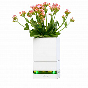 Модульный сад LeGrow для 1 растения с USB зарядкой на 4 устройства